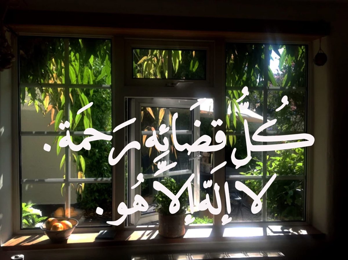 ســــارة tweet media