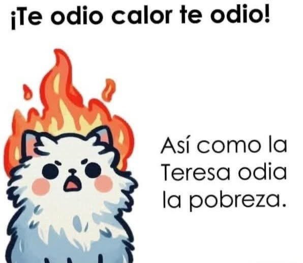 Nuria tweet media