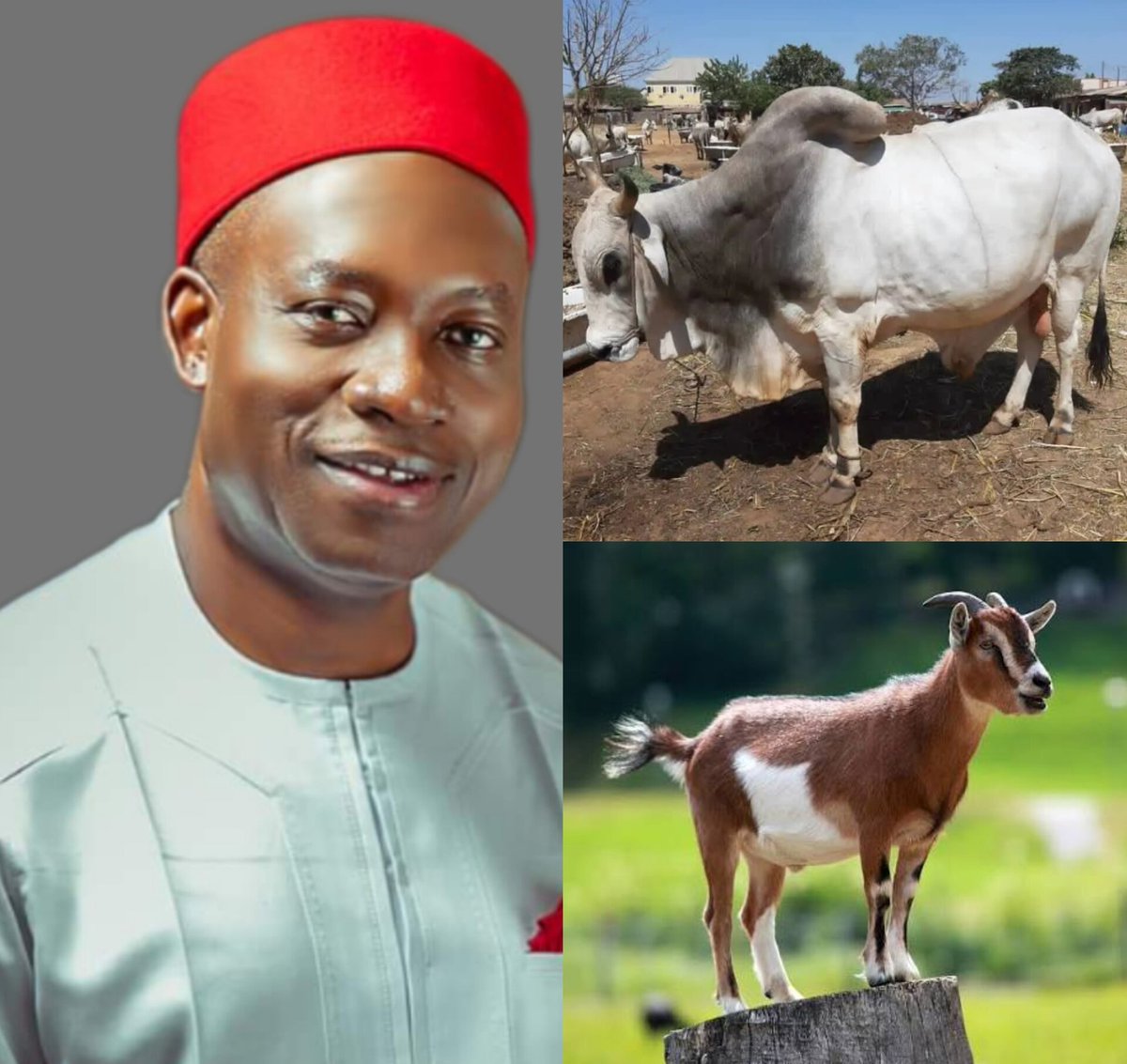 IGBO History & Facts tweet media