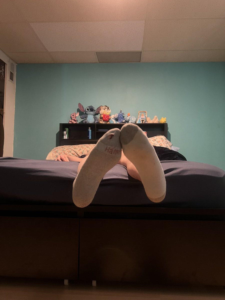 Austin Toy DM for Collabs tweet media