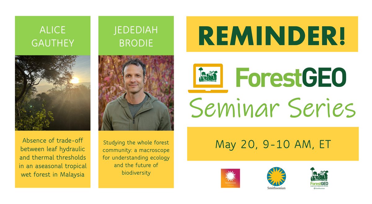 ForestGEO's tweet photo. Reminder 🚨 to join us THIS WEEK for our May Seminar Series! Zoom in this Wednesday, 5/20, at 9am ET to hear talks from Alice Gauthey &amp; Jedediah Brodie 🌳 Register here: https://t.co/ThY7qItIJr https://t.co/QoO21oANUe
