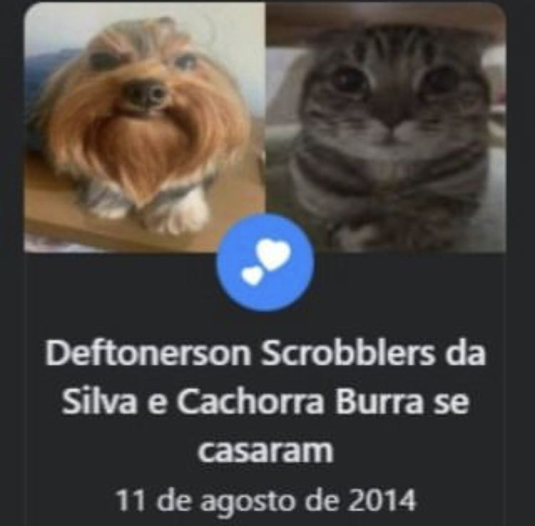 Sistema Único de Saúde (SUS) paródia tweet media