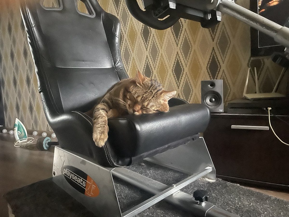 Забіяка 😼 tweet media