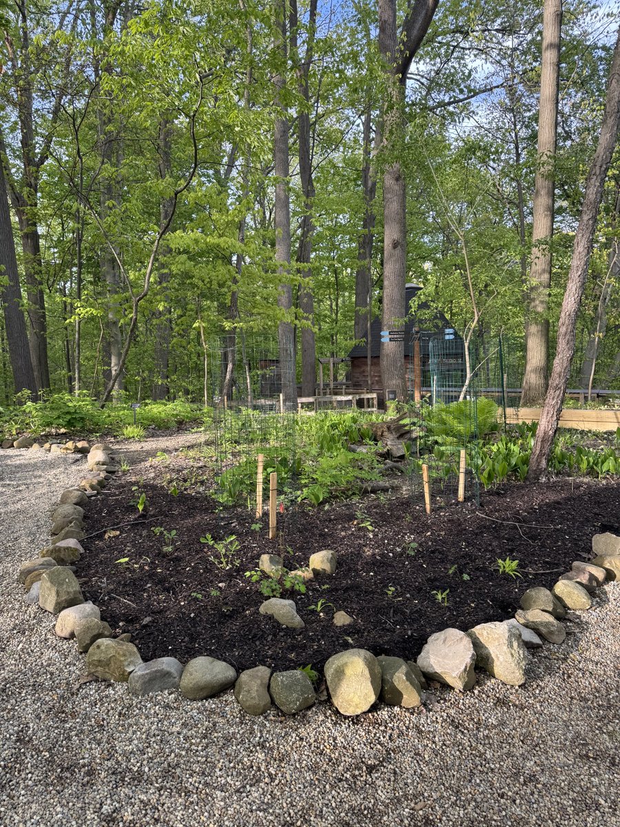 ShakerLakes's tweet photo. The Wildflower Garden is such a peaceful place to stroll in the spring! ☀️ https://t.co/7hOVjIiWdq