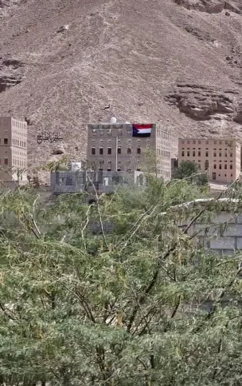 حنان با وزير tweet media