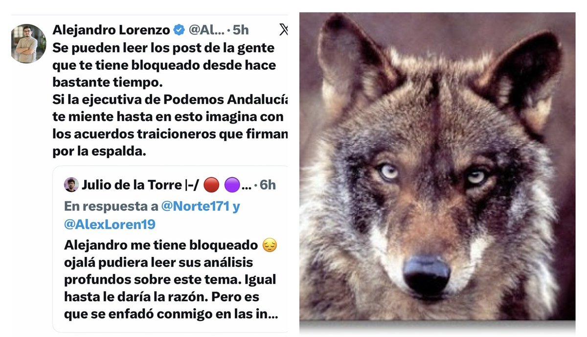 IvanClif's tweet photo. El Putillas está tan absorto en sus peleas internas que es incapaz de ver que el batacazo que se han pegado en las andaluzas es pálido para el que les espera en las municipales. https://t.co/8sAdGhtzGc