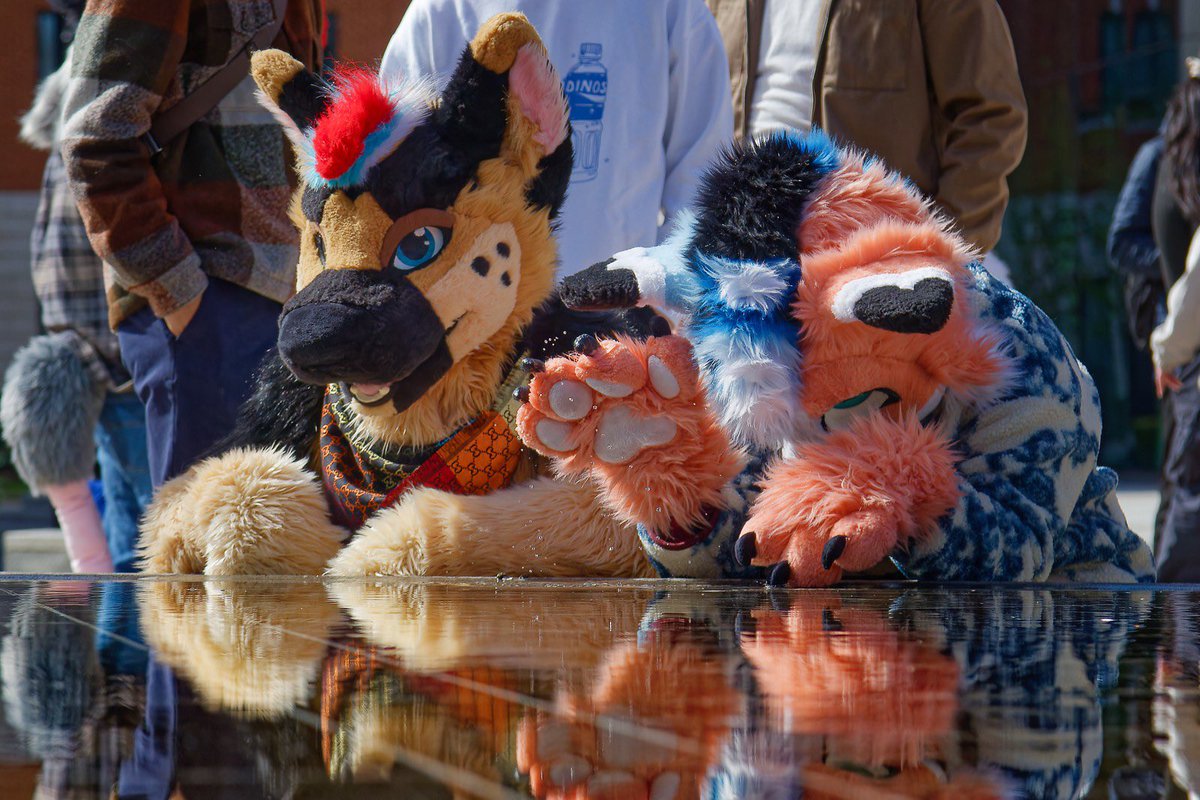 MadeInBatter's tweet photo. Splash Splash Splash!! 🦊💦 :33

📸 - @kazdoggo 
🐕 - @RykerShep https://t.co/C5mOZNzR8P