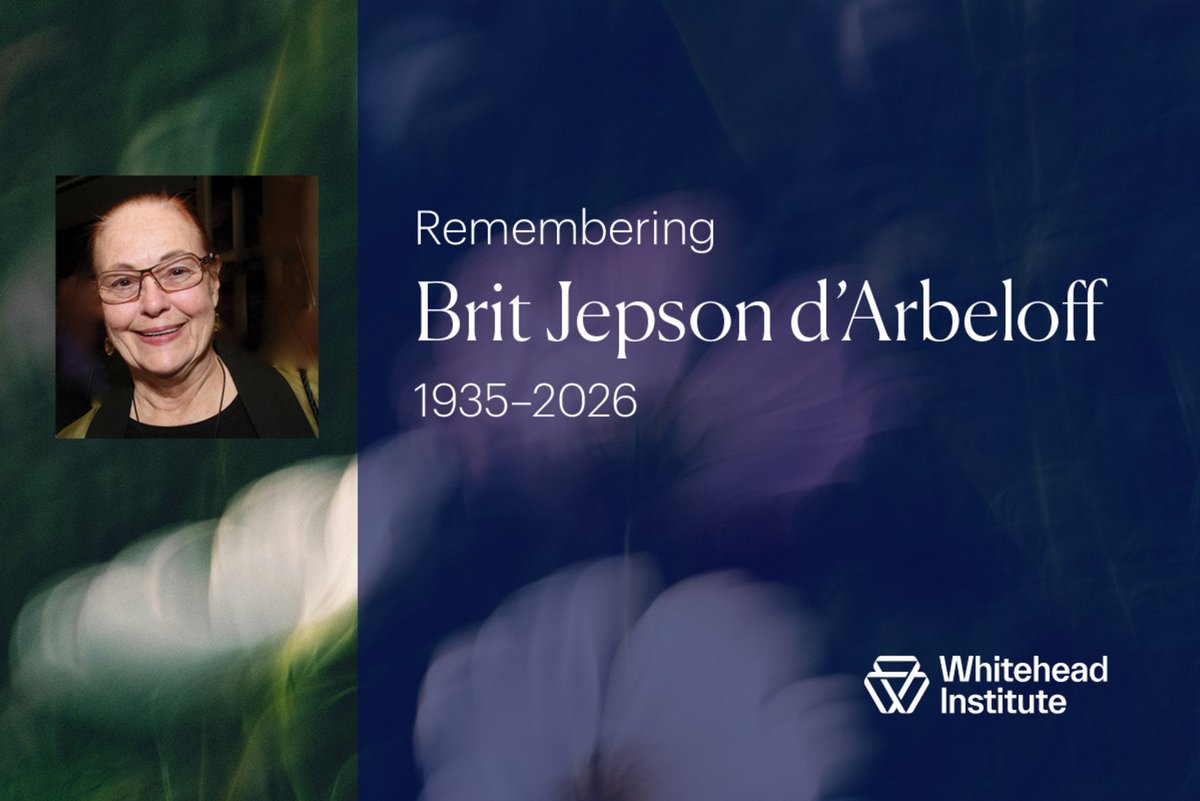 WhiteheadInst's tweet photo. We are deeply saddened by the passing of Brit d’Arbeloff, Director Emerita of the Board and longtime supporter of the Institute. Her legacy is profound and includes advancing our efforts to understand of how sex differences influence health and disease. 

https://t.co/vlpAAKSKCg https://t.co/RJmYFJ7zfW
