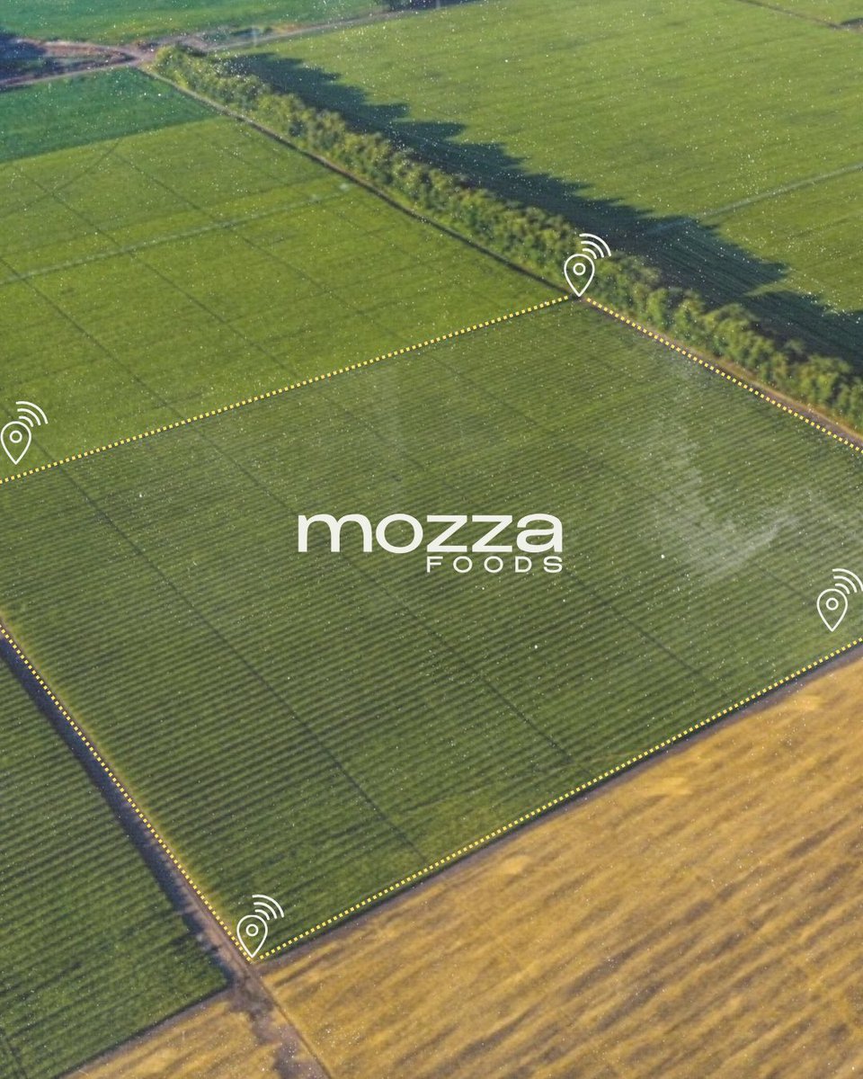 mozzafoods tweet media