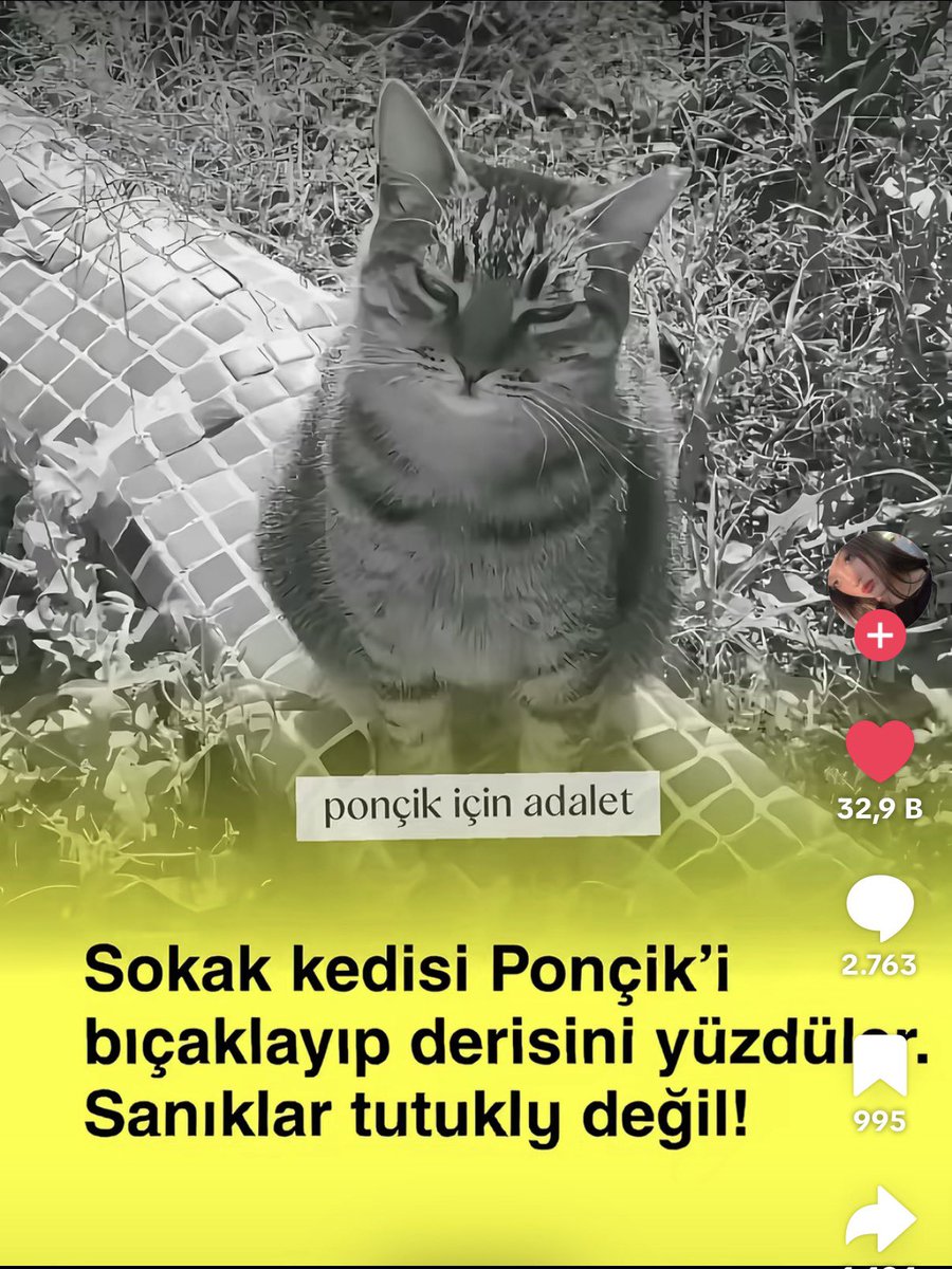 Hel tweet media