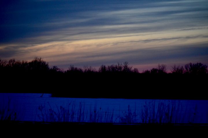 webGirlgr's tweet photo. Art of the Day! "Purple Haze". Buy at: https://t.co/55zu6LeHcb https://t.co/wzGqfJ6AXG