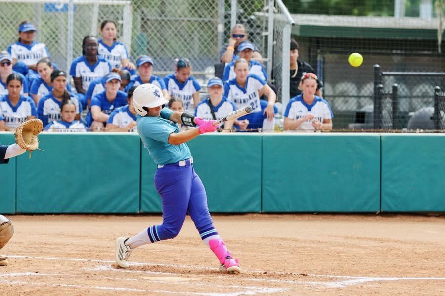 stephhbasso's tweet photo. UNCOMMITTED
99 ABs

AVG .404 | SLG .869 | OBP .524

13 2B
11 HR
52 RBIs
86 Total Bases 
24 BB
35 R

1st Team All- Conference 
2nd team All- State
FCSAA Championship All Tournament Team
NFCA 2nd Team 

@NJCAASoftball @FSWBucs @SoftballPortal https://t.co/UR6PqurTUs