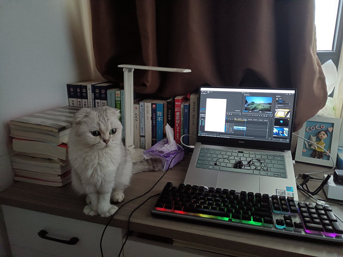 ярослав кузнецов tweet media