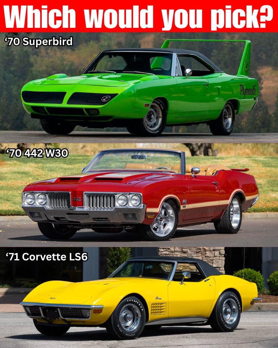 Lily Rosewood tweet media