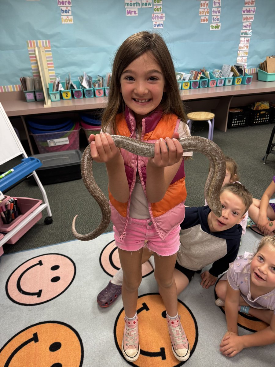 WBEdaviduke's tweet photo. V is for Visit Day! Lots of big visits happening on 1st grade today. First up was Hedgehog Hannah! Thank you @WoodbrookPTO1 https://t.co/iwr2EtPtrd