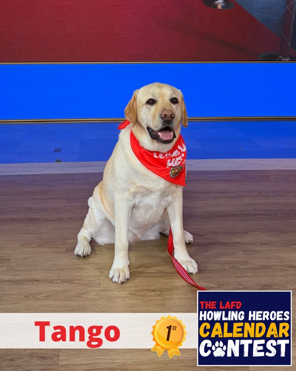 LAFD Foundation tweet media