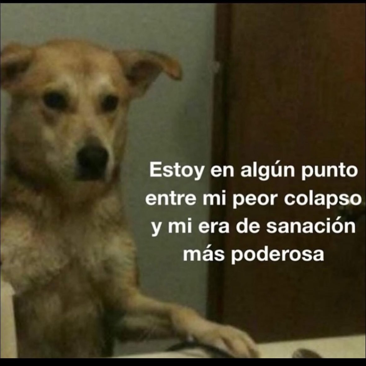🌙 mini textos tweet media
