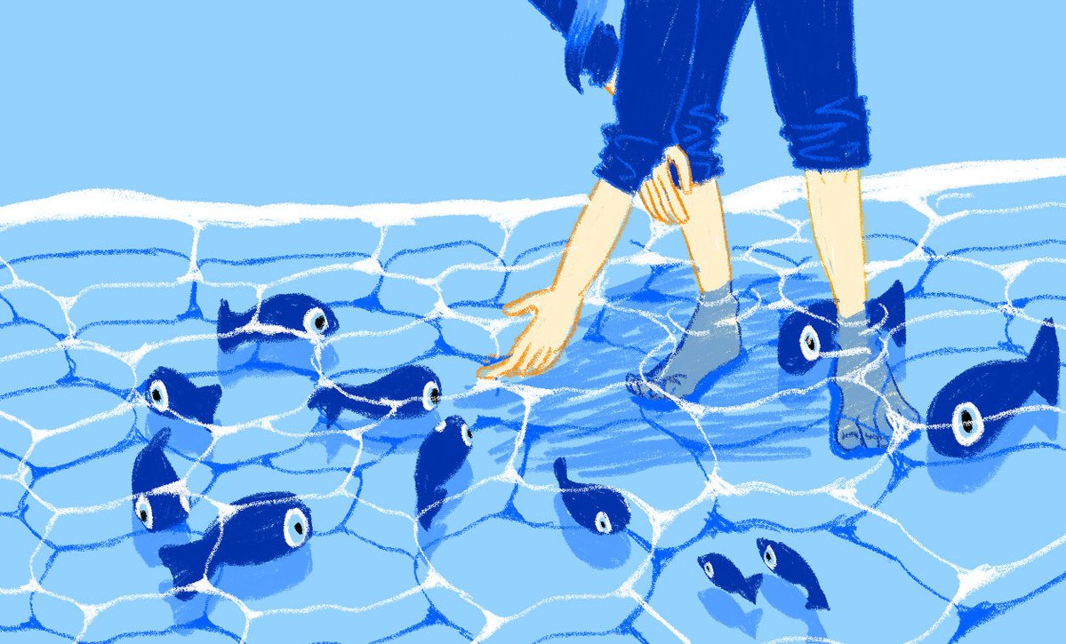 山椒魚 tweet media