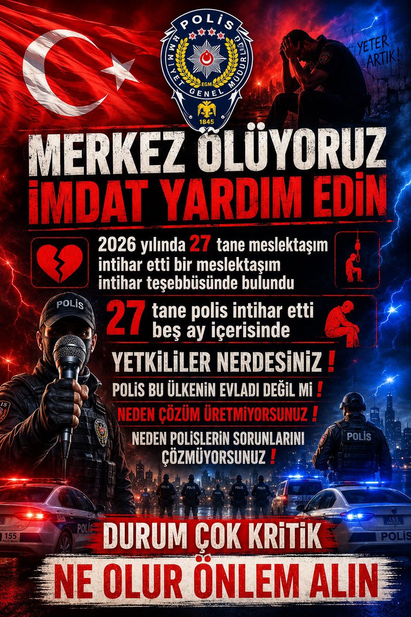 Birpolis tweet media