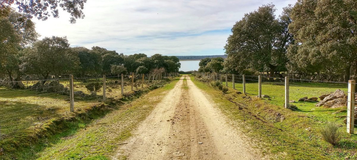 TurismoSardon's tweet photo. A veces el mejor plan no está en el destino… sino en el camino 💚

Ese tramo en el que el móvil pierde importancia, la cabeza se vacía un poco y el cuerpo simplemente sigue el ritmo de los pasos 😌🌿

#Sardón #TurismoRural #Naturaleza #Desconexión #VidaLenta #Embalse https://t.co/aQizXmwsnc