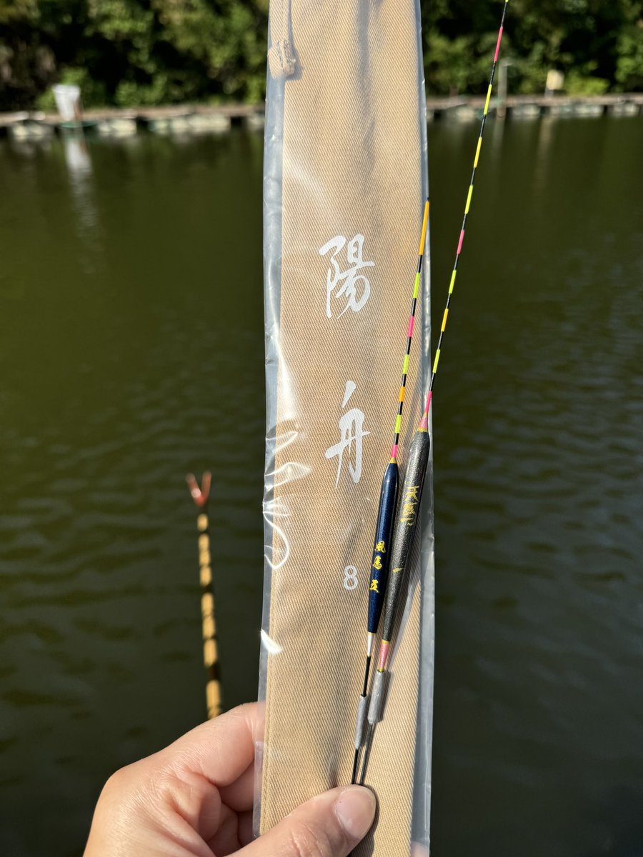 _asukaaaa2's tweet photo. 今日は7人で清遊湖さんへ🎣

久しぶりの釣りで本当に楽しかった🥰
先生が沢山いて幸せでした🤭

チョーチン両団子→メーター両団子→チョーチン両団子

釣果は35枚でした☹️

陽舟8尺
浮きはお借りして 天馬 一  風馬 五

早く帰ってきて私の風馬😭w

猫とヘラに癒されました🥹💓 https://t.co/P2DUB9JOmX