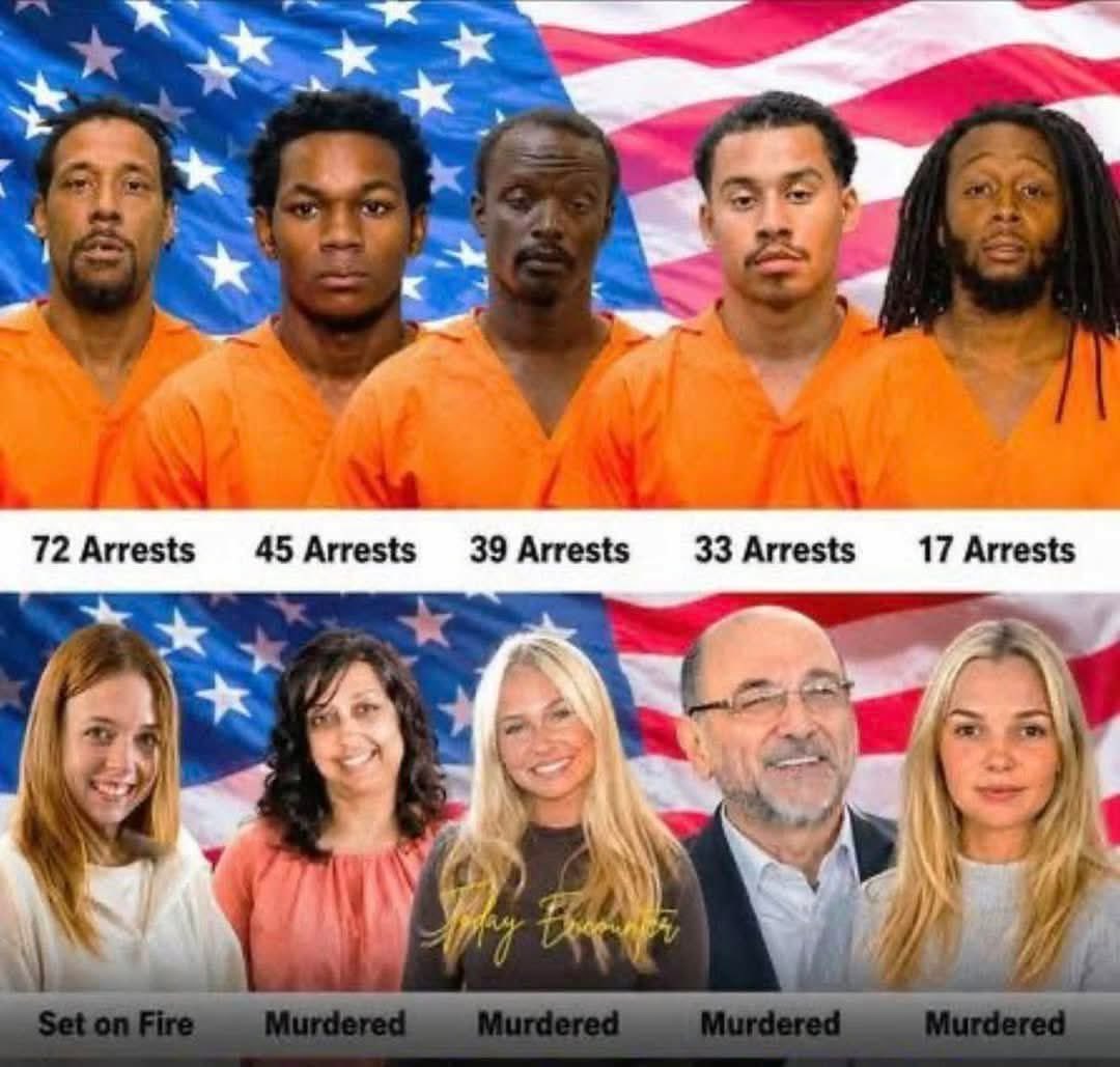 ChicagoPatriot tweet media