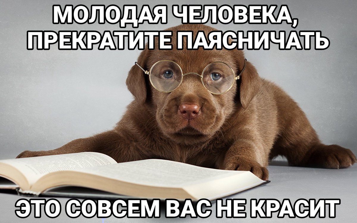 deonis_bruel's tweet photo. пост-знакомство в нескольких актах

содержание:
• кто я такая и с чем едят
• что буду публиковать
• здешние правила

мигрировала из твиттера четыре года назад, теперь вернулась. всё забыла. и вы, надеюсь, меня не помните. помните ? — молчите
 
(«me in nutshell» мемы
👇🏼👇🏼👇🏼) https://t.co/J03WPC4uMe