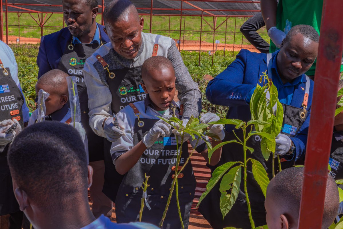 Ministry of Education | Rwanda tweet media