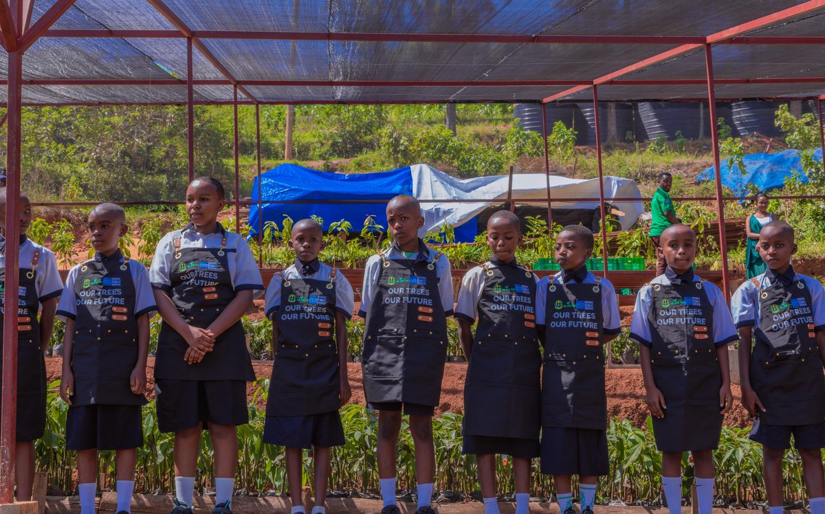 Ministry of Education | Rwanda tweet media