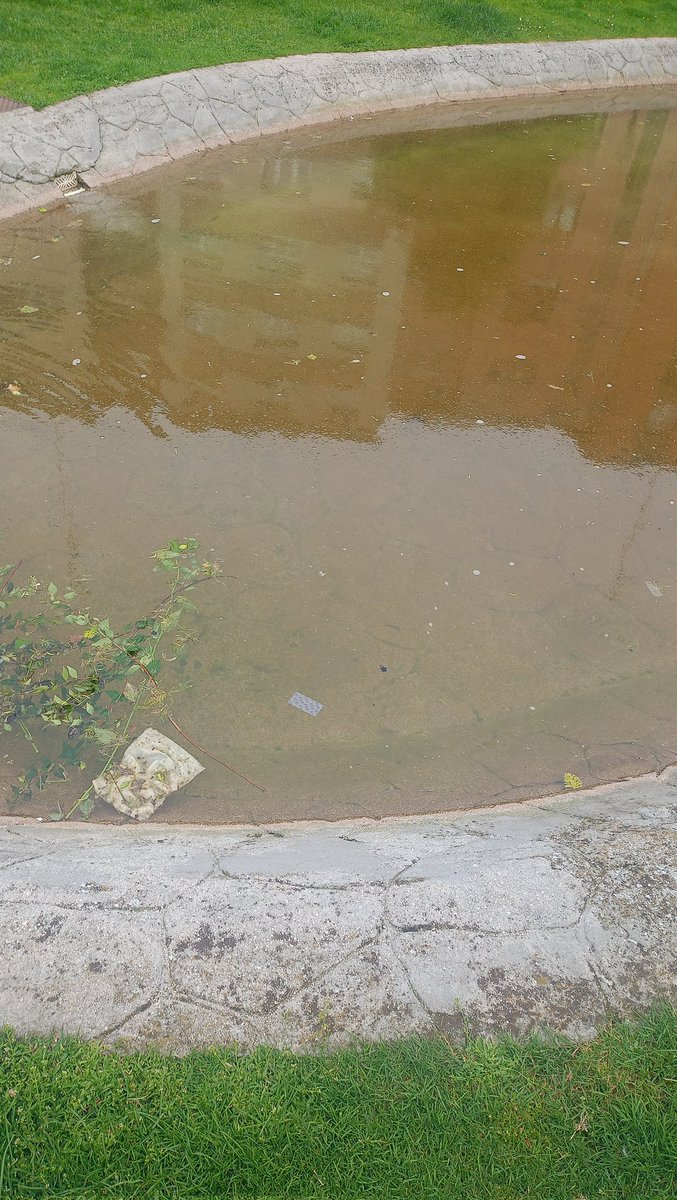 moutasmiry's tweet photo. @gijon @EMULSAGijon  un poco de mantenimiento en los estanques del parque Zarracina  los niños juegan muy cerca https://t.co/bmDcv50Gp4