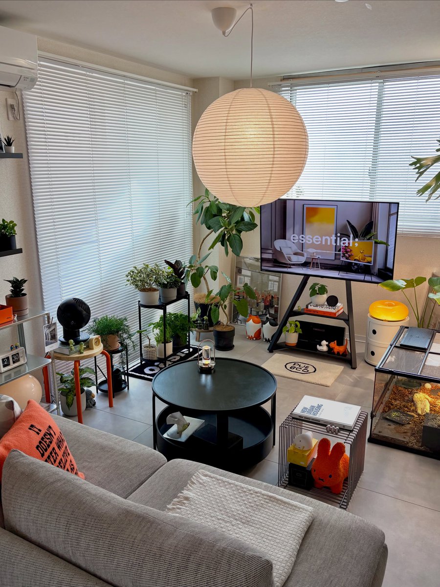interiorstellar tweet media