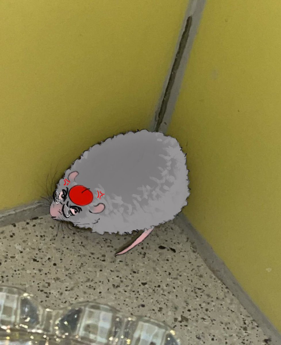 Ș̡͊o̞̓́l̰ͣ̀ô̷̻nͩę͎͊t̖̚͞z̴͕͂ tweet media