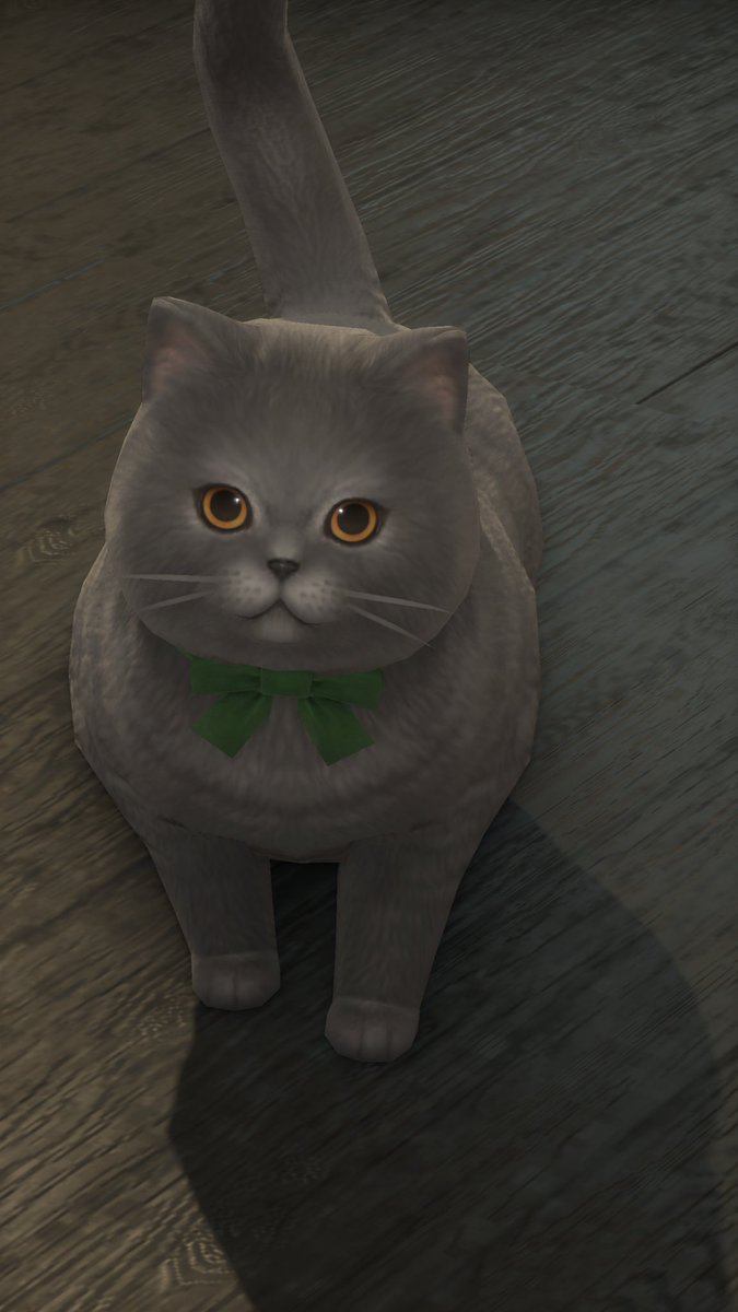 Emilyffxiv's tweet photo. ๐ค๐ค๐ค๐ค๐ค๐ค๐ค๐ค๐ค๐ค๐ค๐ค๐ค๐ค๐ค๐ค๐ค๐ค๐ค๐ค๐ค๐ค๐ค๐ค๐ค๐ค๐ค๐ค๐ค๐ค๐ค๐ค๐ค๐ค
#modlessmonday https://t.co/ZEKrGQzixj