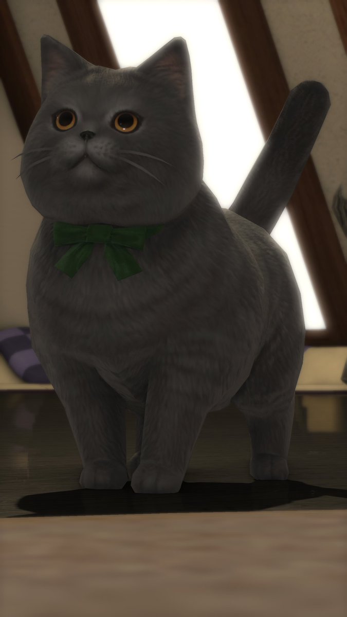 Emilyffxiv's tweet photo. ๐ค๐ค๐ค๐ค๐ค๐ค๐ค๐ค๐ค๐ค๐ค๐ค๐ค๐ค๐ค๐ค๐ค๐ค๐ค๐ค๐ค๐ค๐ค๐ค๐ค๐ค๐ค๐ค๐ค๐ค๐ค๐ค๐ค๐ค
#modlessmonday https://t.co/ZEKrGQzixj