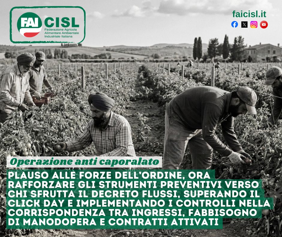 Fai-Cisl Nazionale tweet media