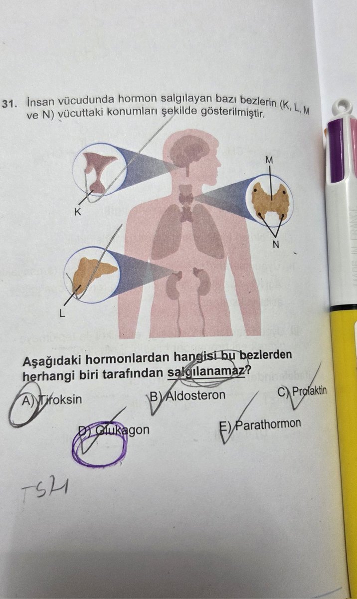 nimlaser tweet media