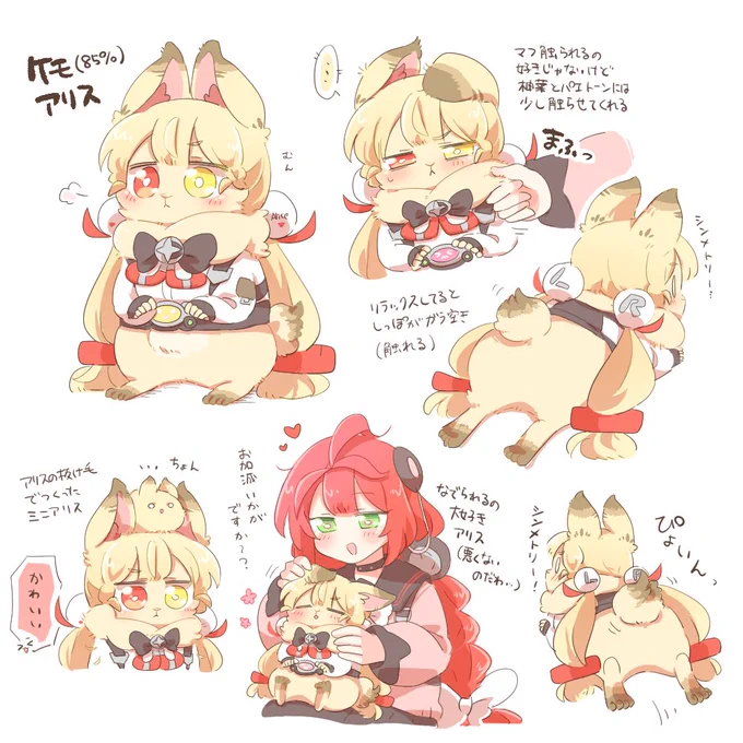 ケモ(85%)アリス詰め合わせ もふもふ多めとなっております 