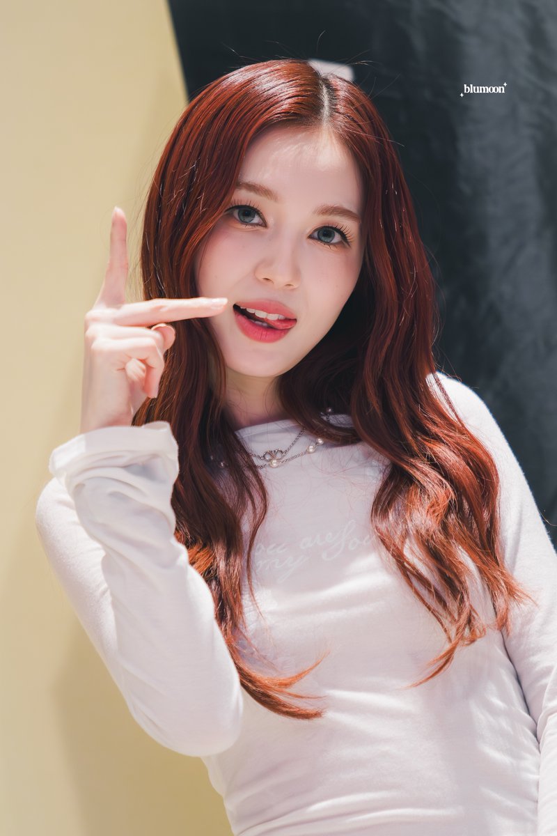 Blumoon tweet media