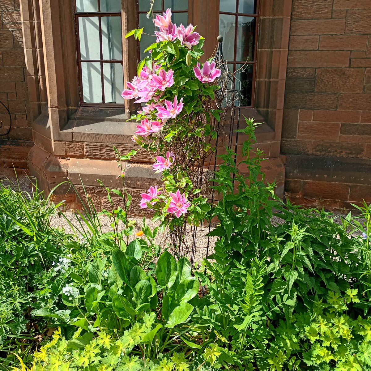 cwacmuseums's tweet photo. Come to our Open Afternoon Tuesday 19 May 2pm – 4.30pm. Visit the dig and explore the beautiful Grosvenor Park, Chester. Find out  from the students what they have discovered this year and see some of the fascinating finds.
@ArchaeologyChester @HistArchChester @DeeArchaeology https://t.co/Olgl2fq6pt