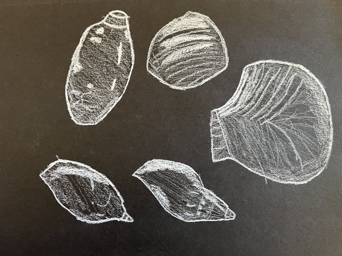 thejonathanjin's tweet photo. Brian’s drawing talent #progression

from disability to no disability.

#beginner #drawingclass https://t.co/0Of26nWGfb