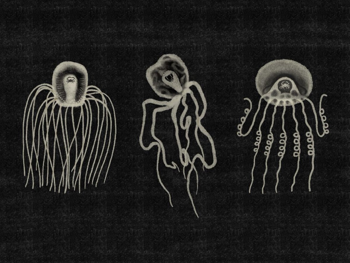 bulkfirework's tweet photo. Illustration for @thedrift_mag Issue 7

poetry「Travel, Goals, Experiments Poetry」
MELANIE JENNINGS
Travel The jellyfish lay flat on the beach, wiped out from the journey.

Thanks to John！

#illustration #drawing #sketch #digitalart #poetryillustration https://t.co/utZIcMoToL