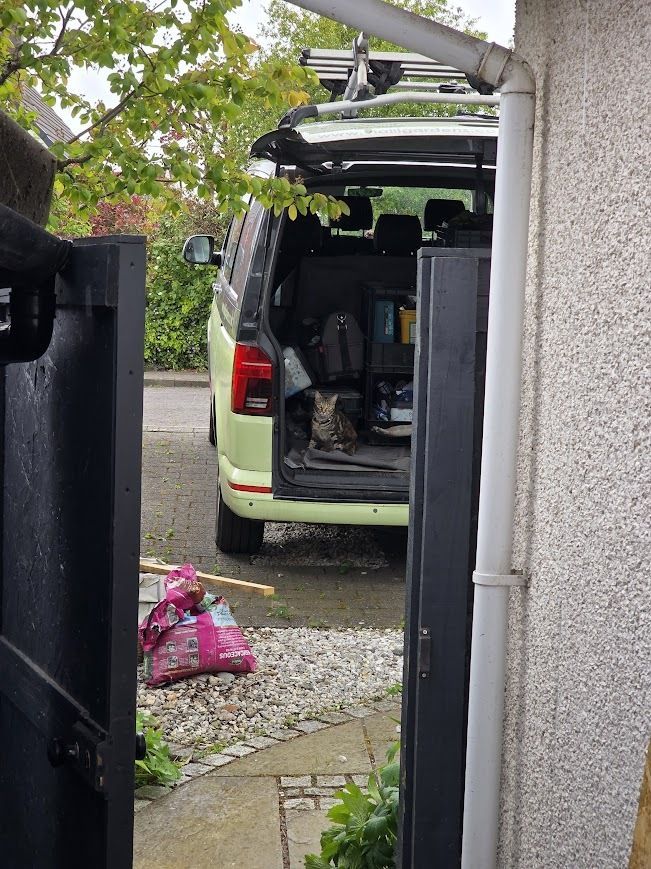 Vialii's tweet photo. We need to be extra cautious heading out to work these days. The kittens seem keen to come with us! Where will we find them next? 👀 
#BringYourPetToWorkDay https://t.co/RZ4JoyY4Sm