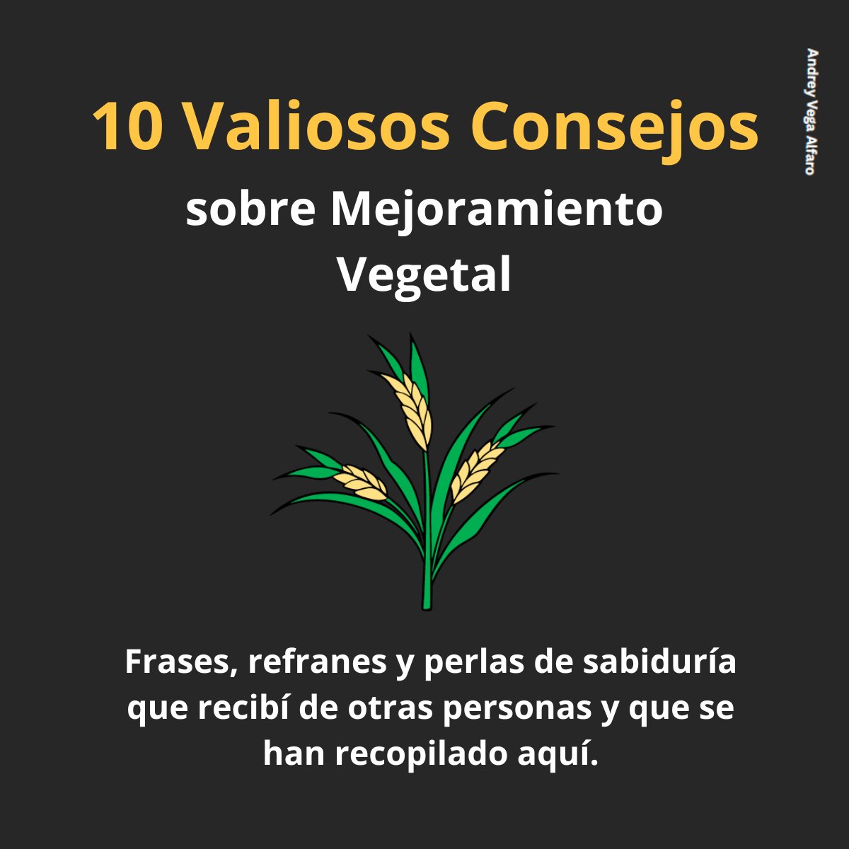 AMSAC Semilleros tweet media
