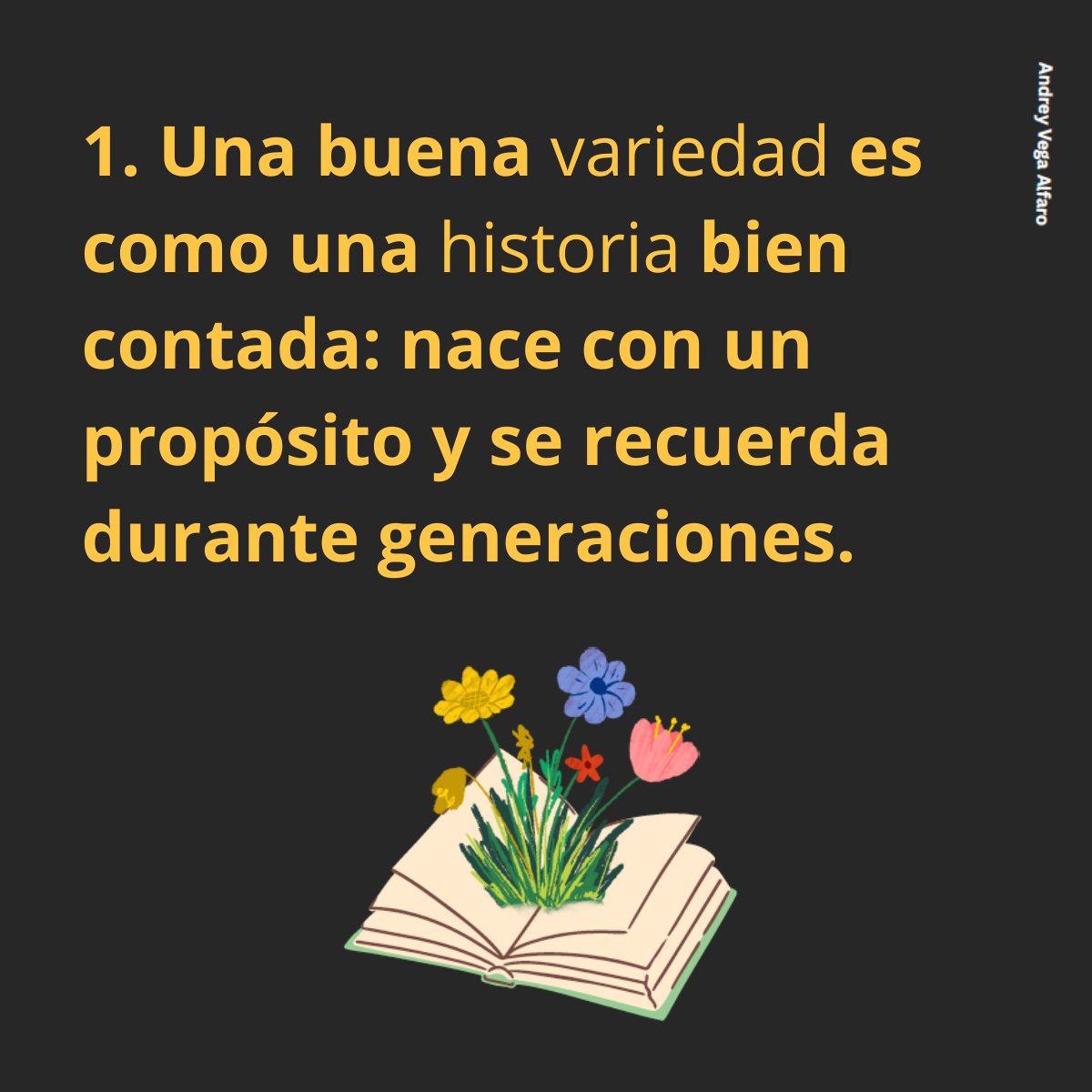 AMSAC Semilleros tweet media