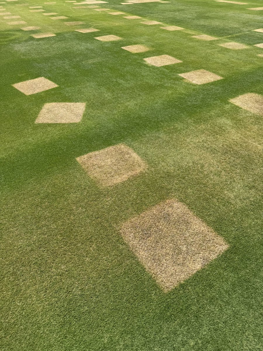 ASUGroundsCrew's tweet photo. The aftermath of graduation. https://t.co/5zxQ4vsWIP