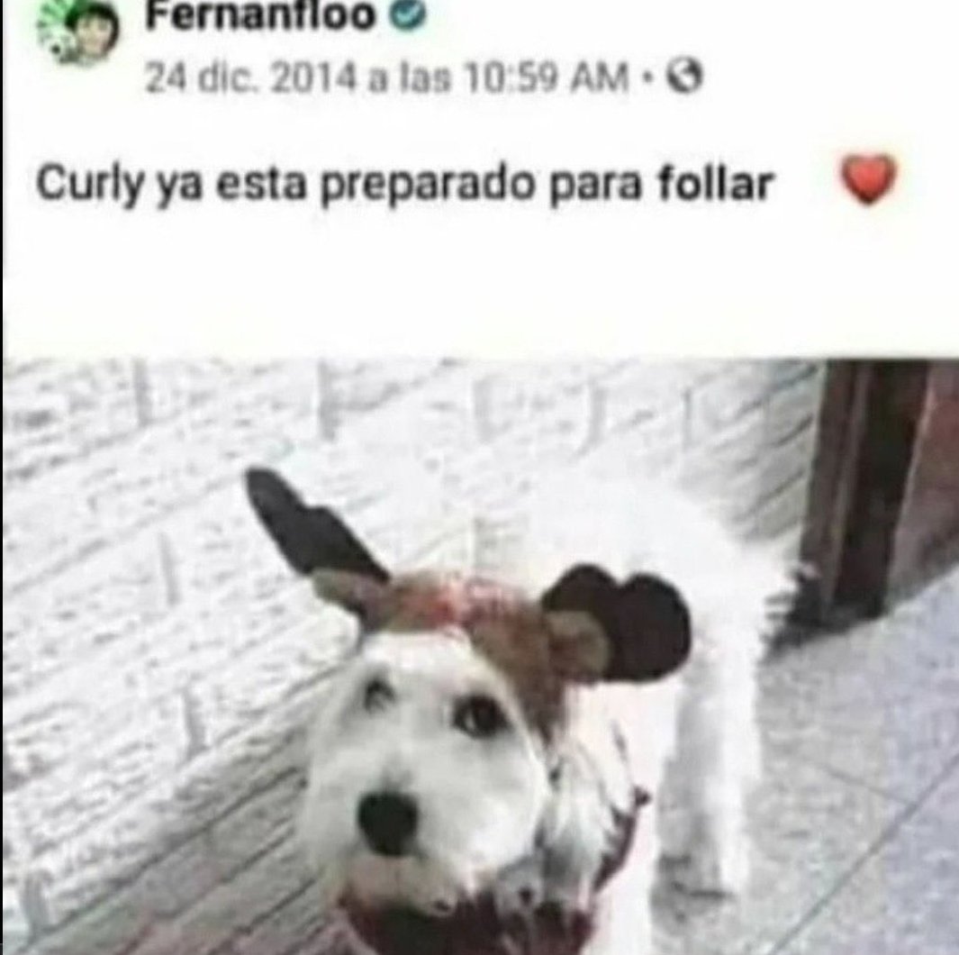xPodri tweet media