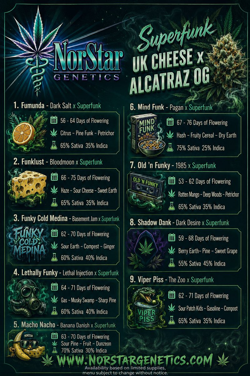 NorStar Genetics tweet media