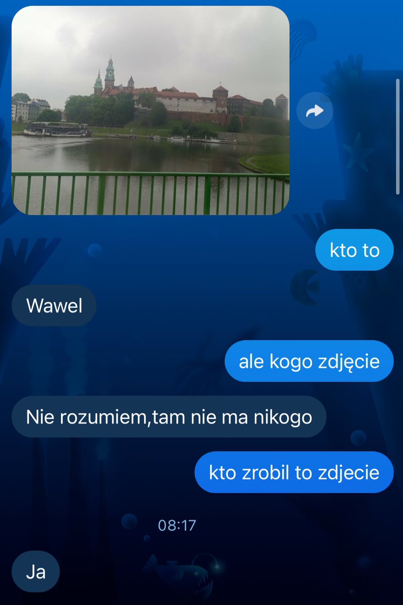maja tweet media