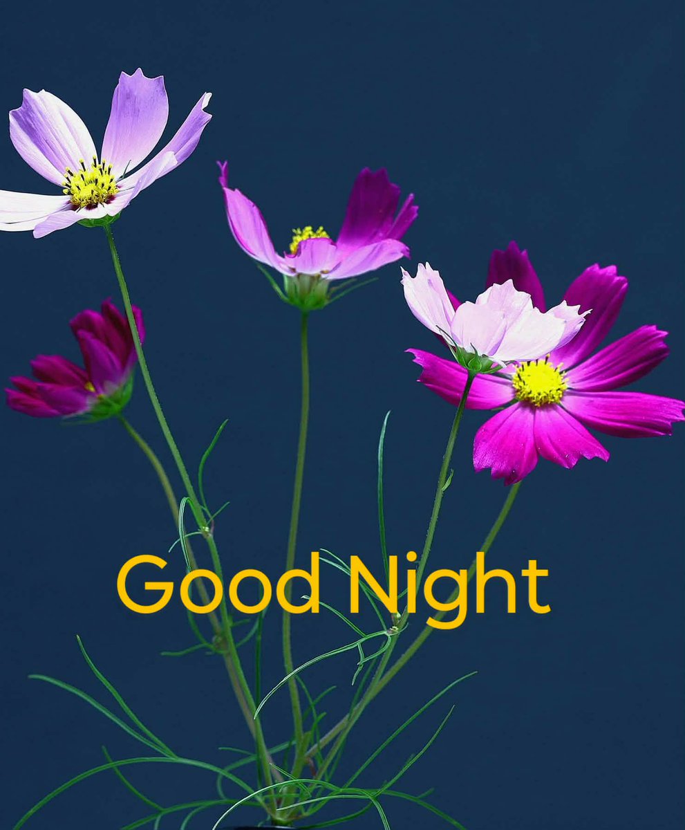 Sujoy Goswami tweet media