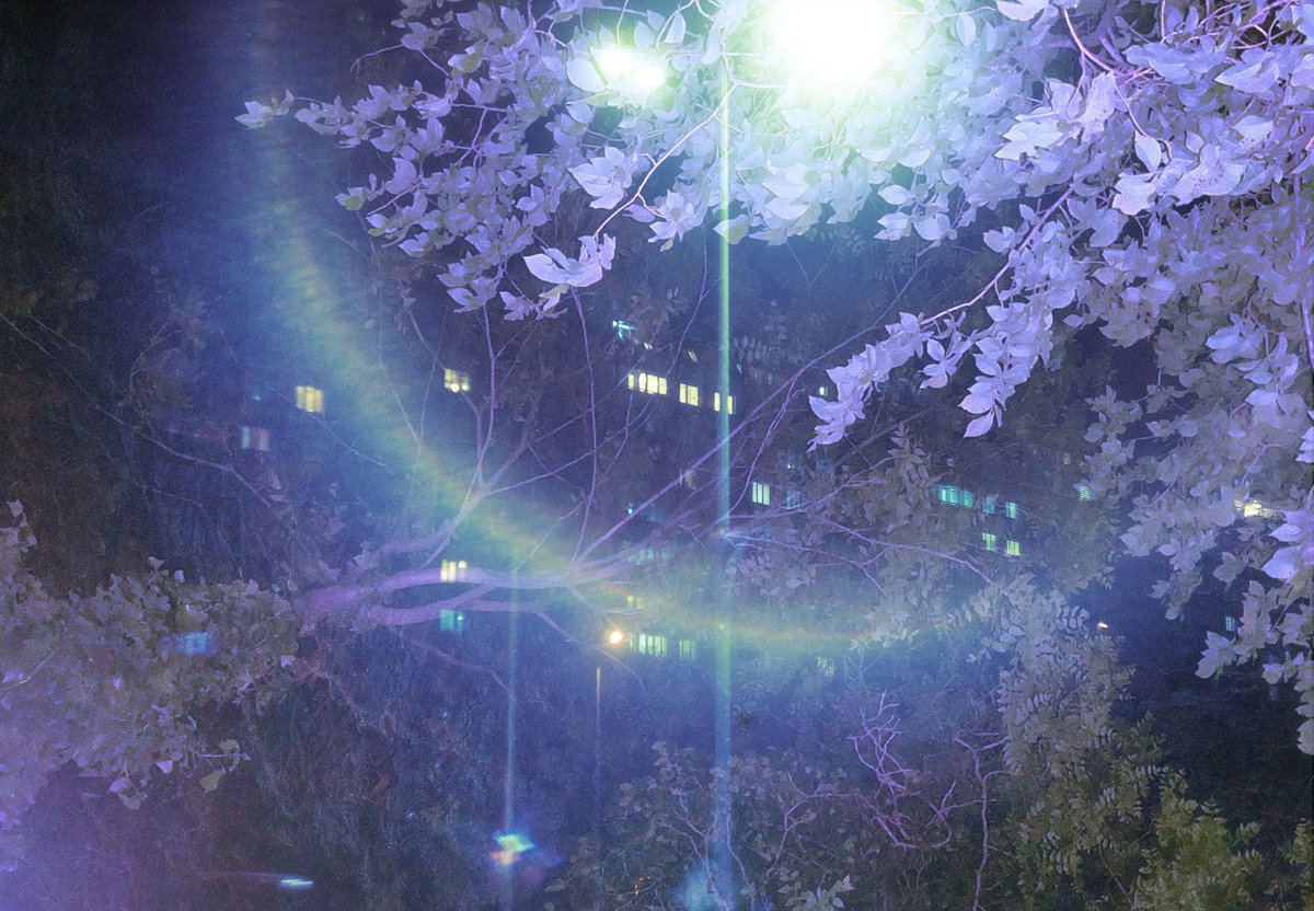 mia_novakova's tweet photo. double exposure from last year https://t.co/zlLglkxj4I